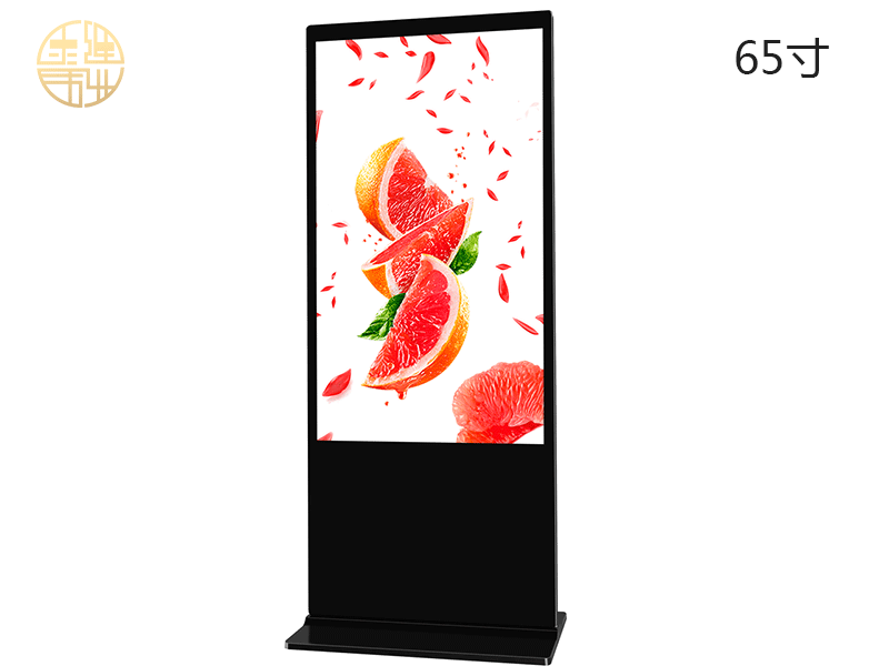 65寸立式紅外觸控一體機