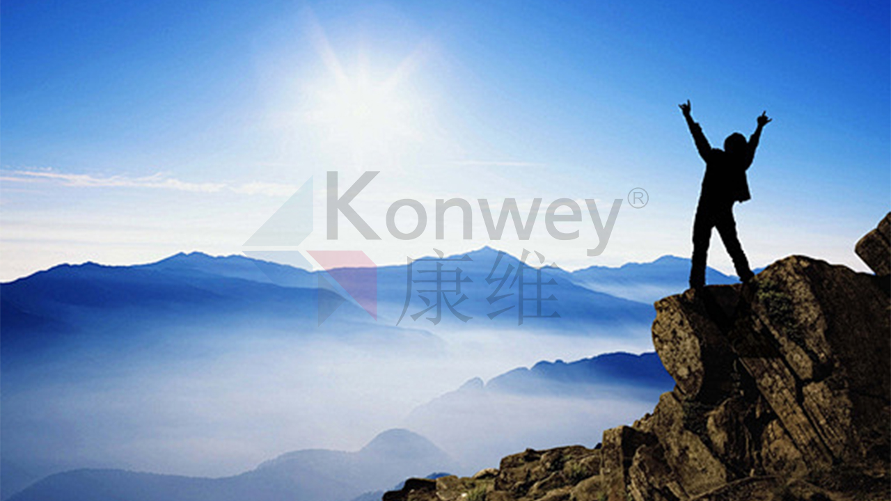 康維偉業(yè)：復(fù)盤(pán) 2024，展望 2025